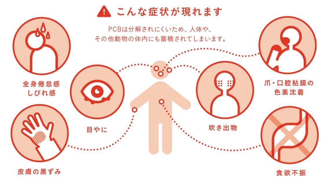 環境省HPより